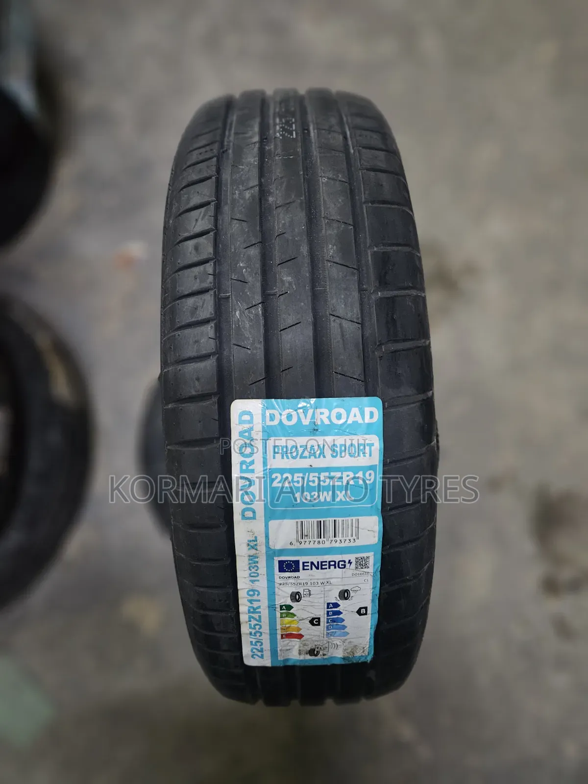 225/55r19 Dovroad Tire