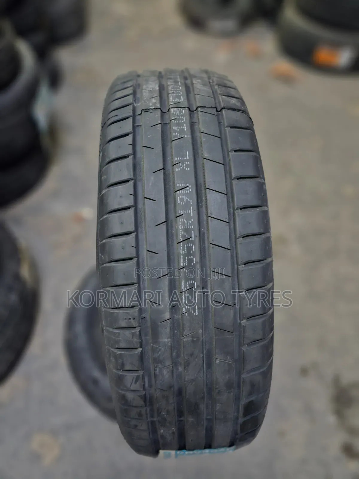 225/55r19 Dovroad Tire