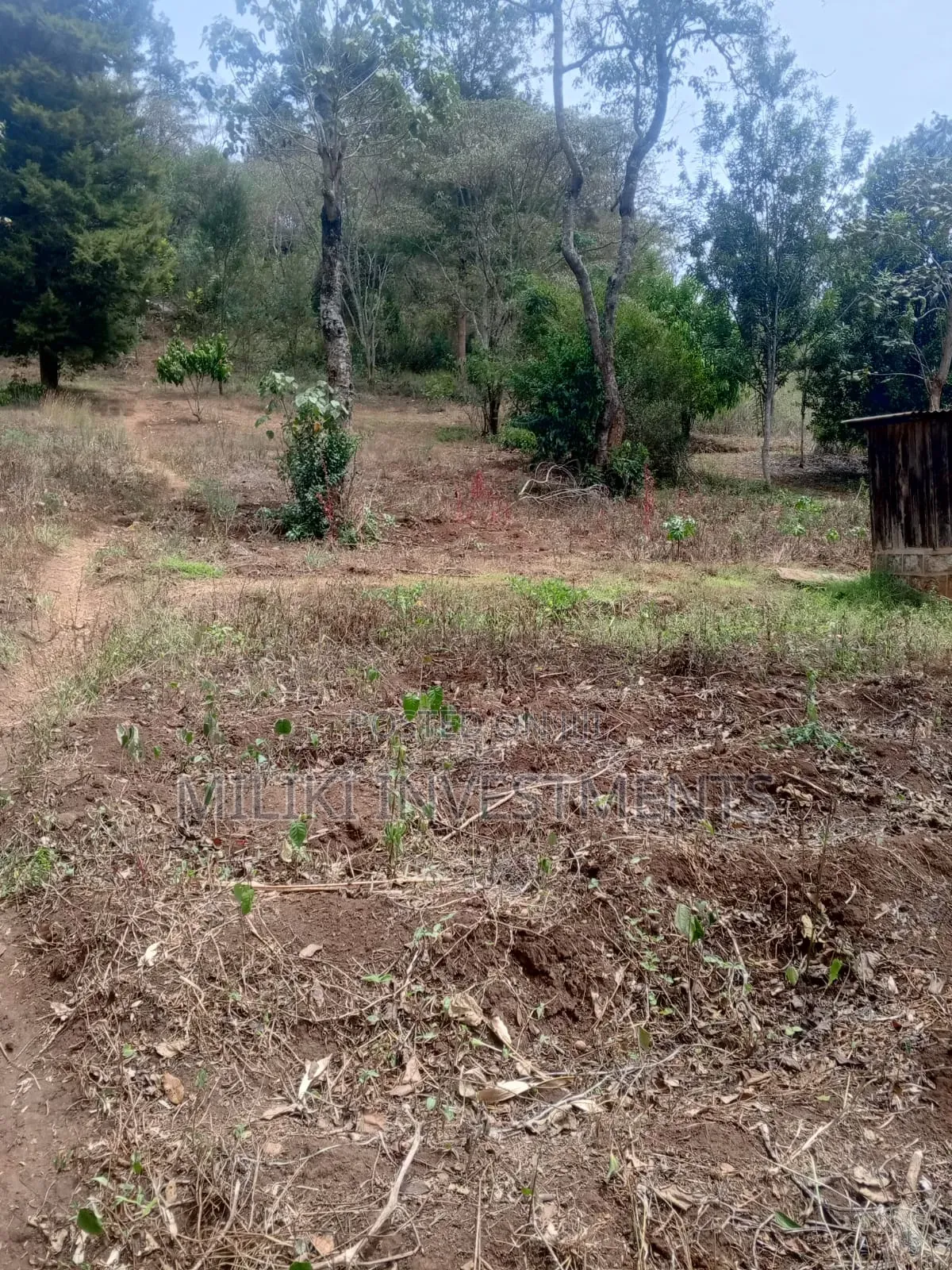 5.2 Acres Land on Sale at Meru -Chuka