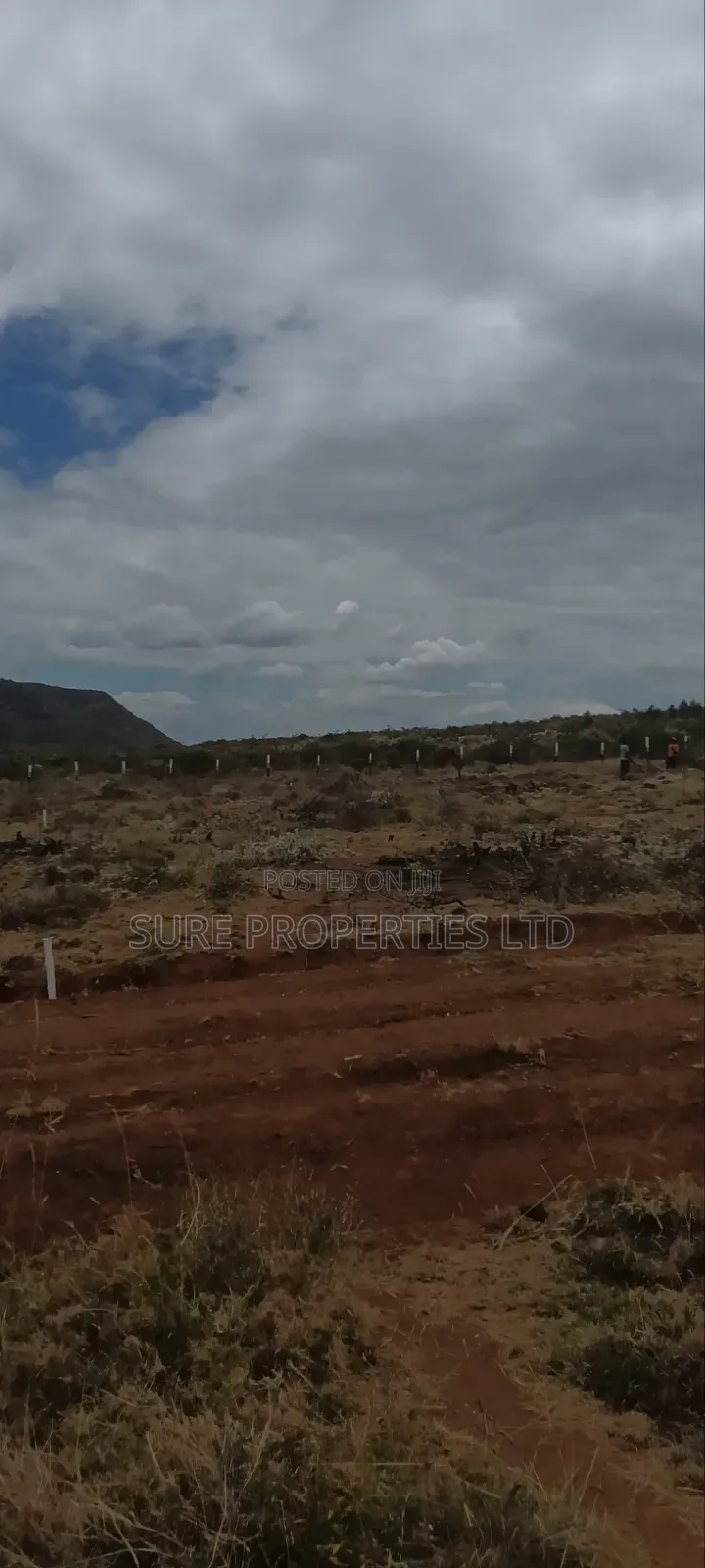 50x100 Prime Plots. Kikuyu Mikuyuini