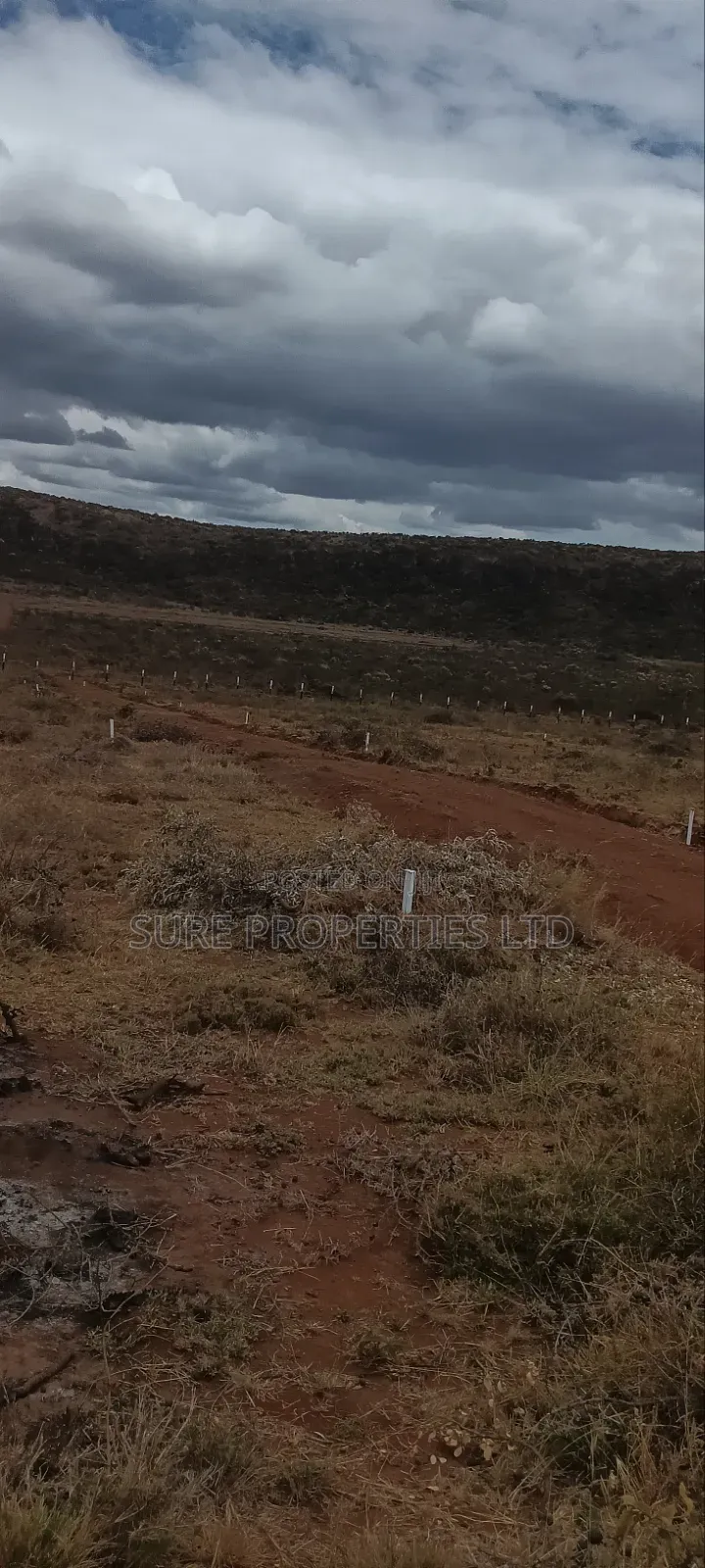 50x100 Prime Plots. Kikuyu Mikuyuini