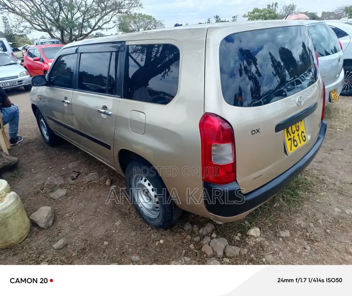 Toyota Probox 2008 Beige