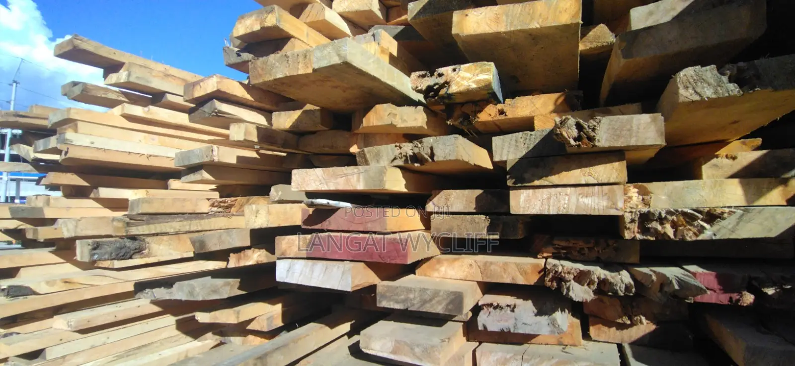 Timber Supply