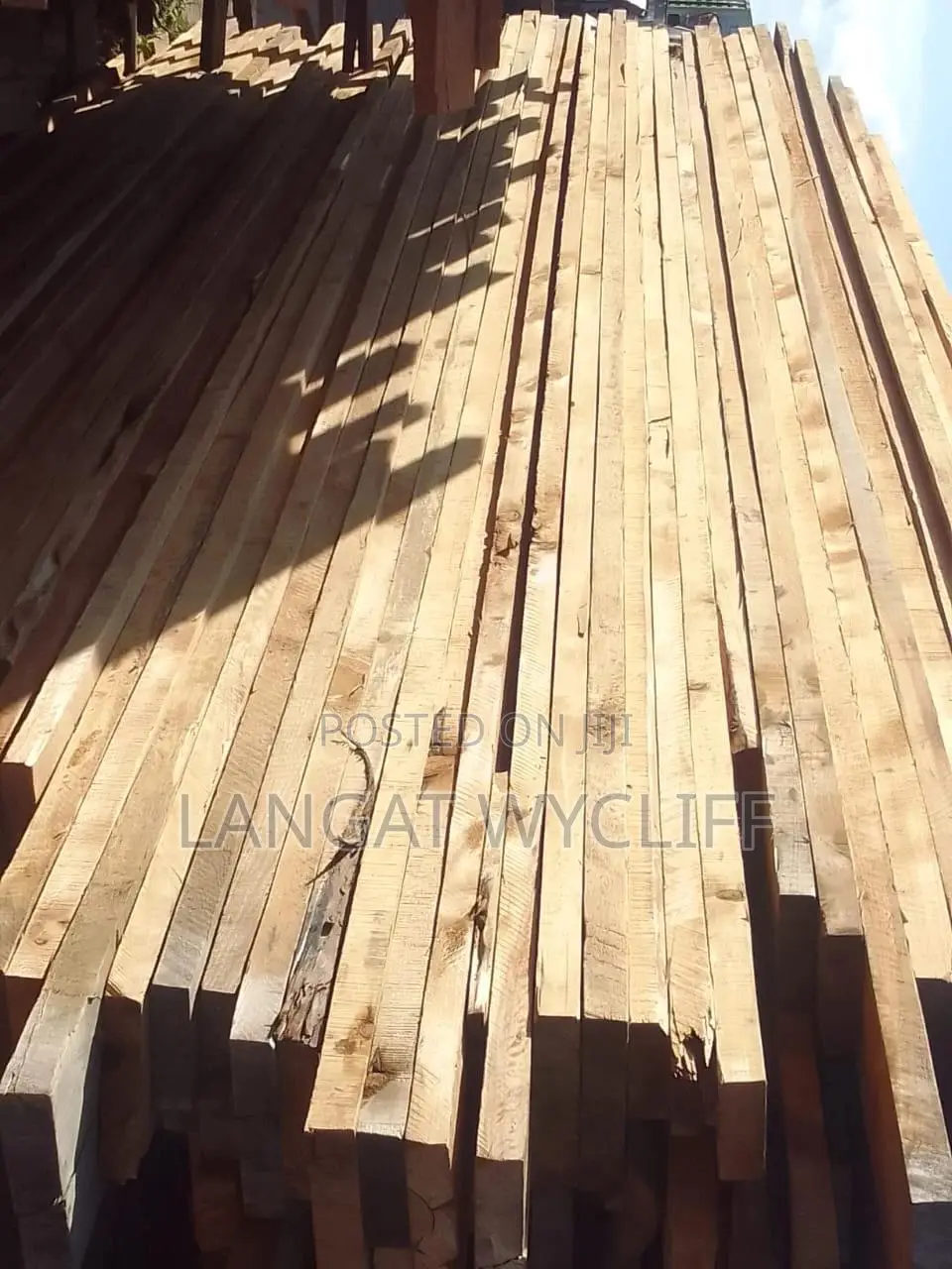 Timber Supply