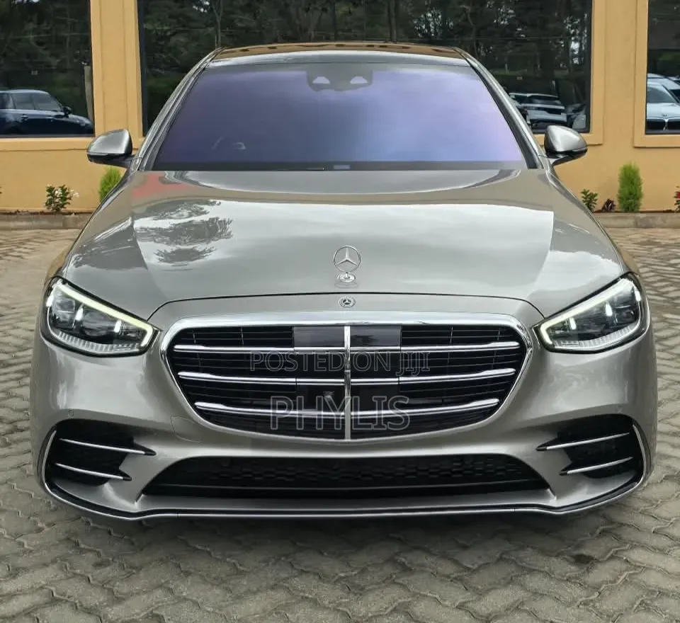 Mercedes-Benz S-Class S 500 (W222) 2020 Gray