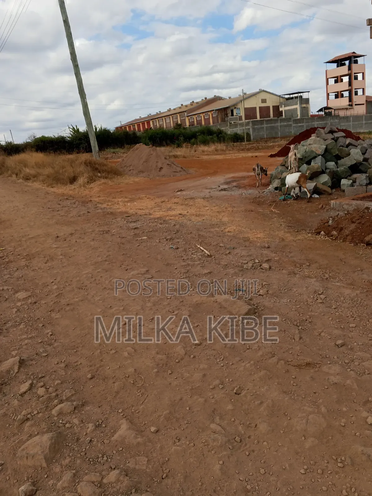 Kiganjo Muthaiga Touching Main Road