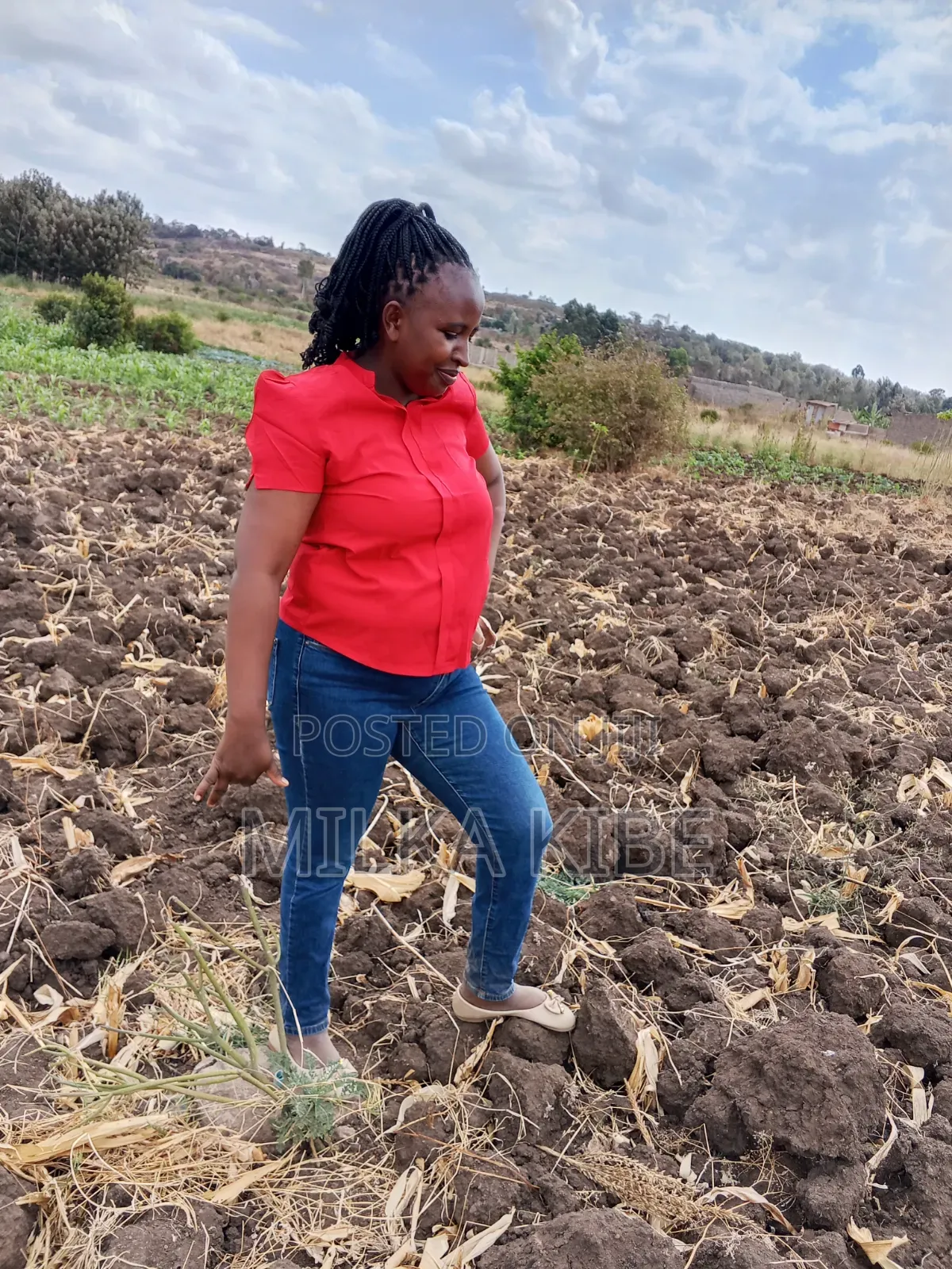 Kiganjo Mali Plot