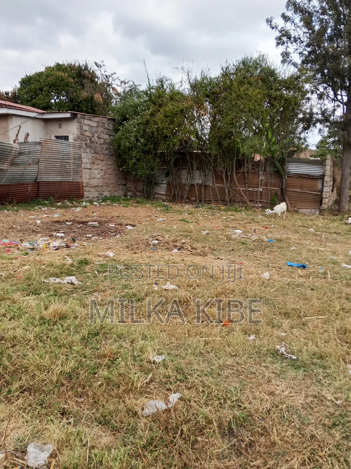 Kiganjo Mali Town Center Plot