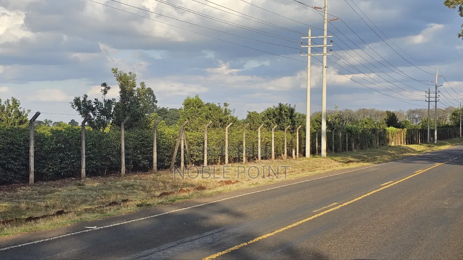 Land for Sale 110 Acres