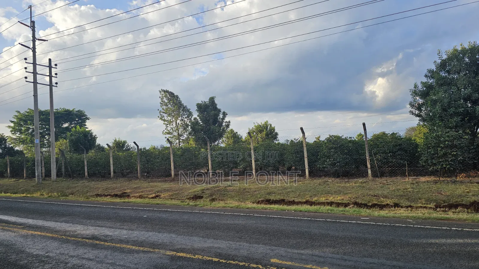 Land for Sale 8 Acres