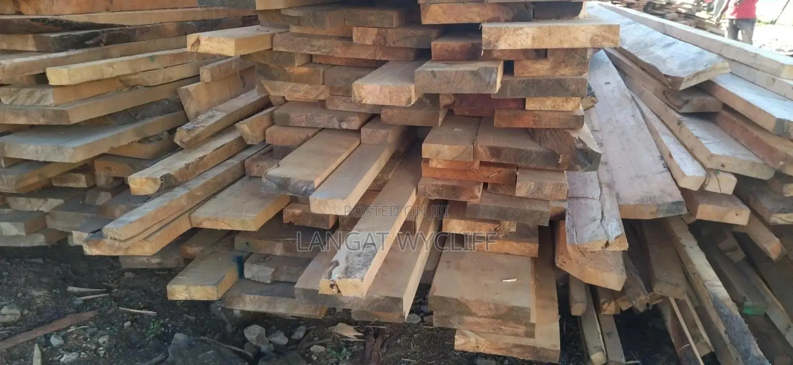 All in One Timber for Building