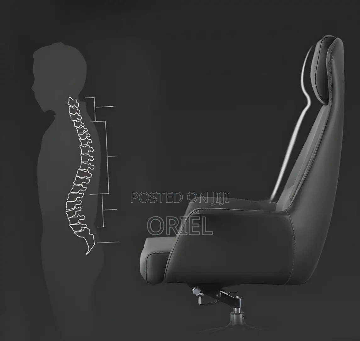 Office Chair : Gray Premium Executive Office Seat