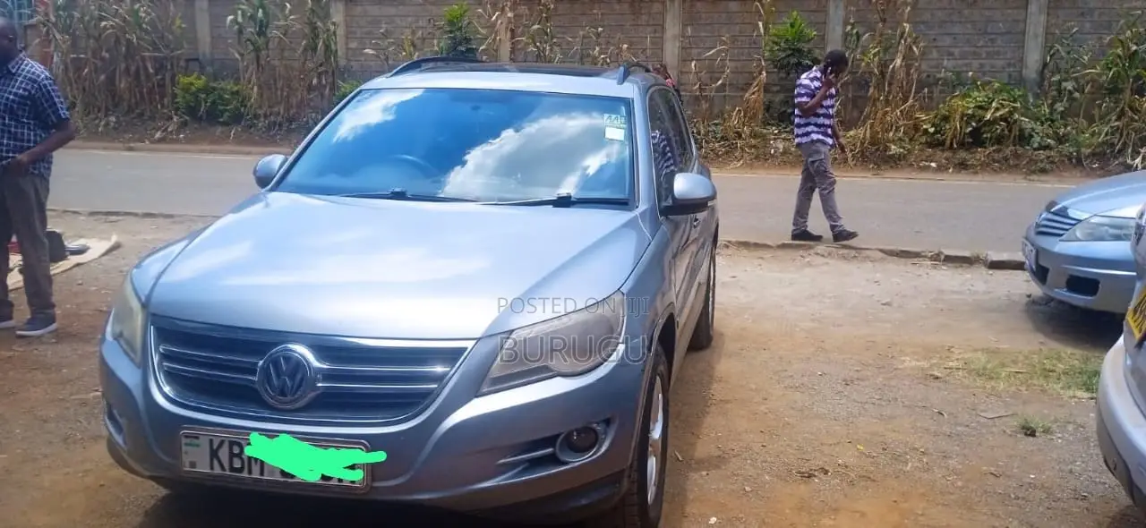 Volkswagen Tiguan 2010 Silver