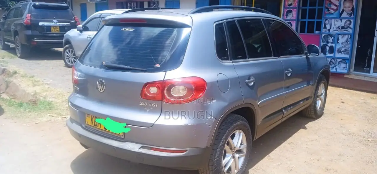 Volkswagen Tiguan 2010 Silver