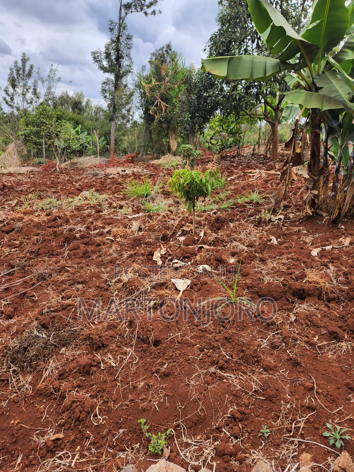 2 Acres Gatundu [ Githaruru]