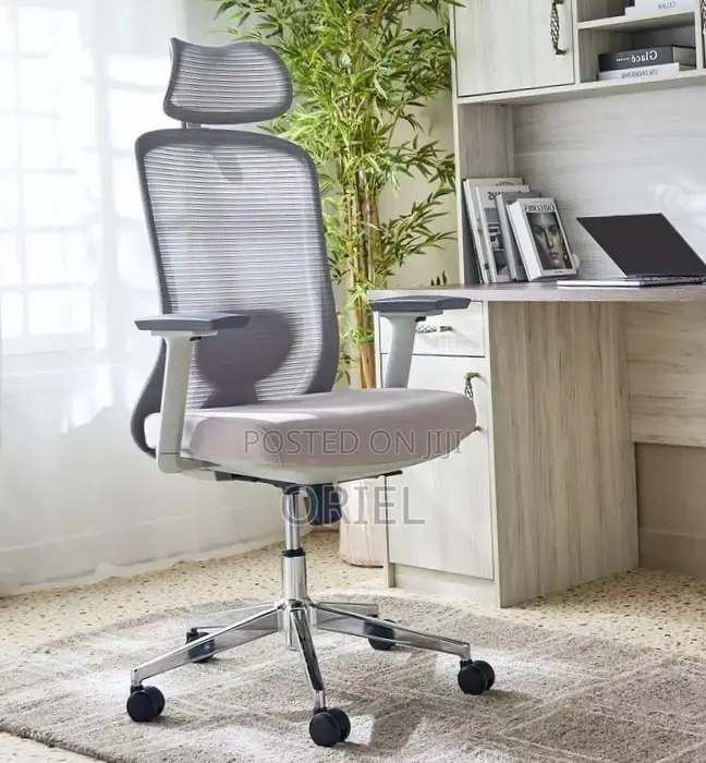 Office Chair : Orthopedic Gray Staff Chair