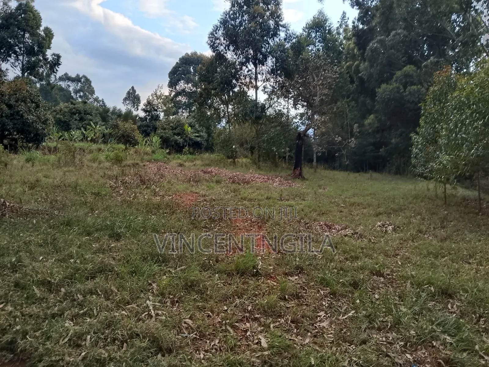 Land for Sale