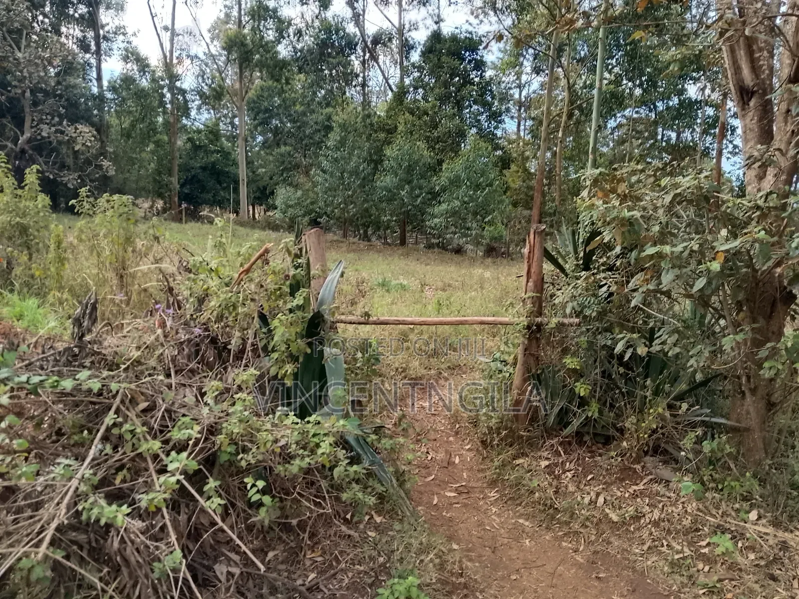 Land for Sale