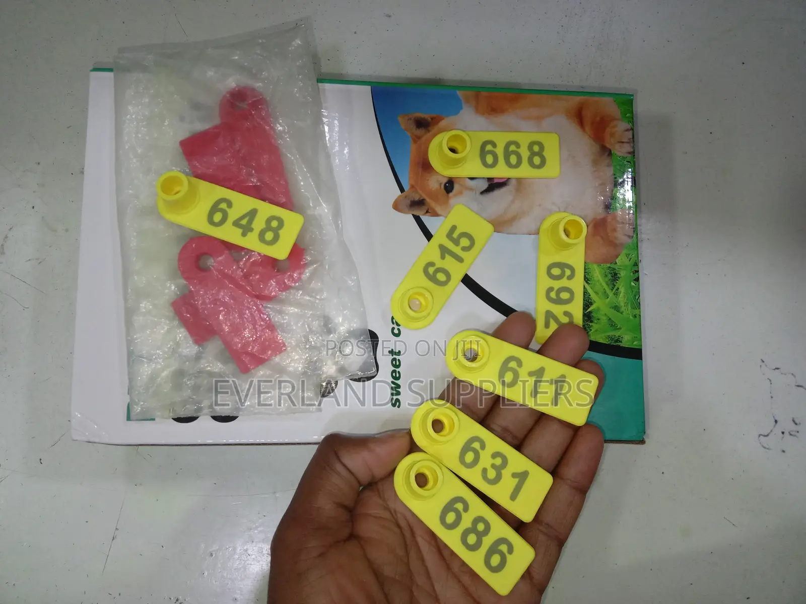 Ear Tags - Numbered Tag Face