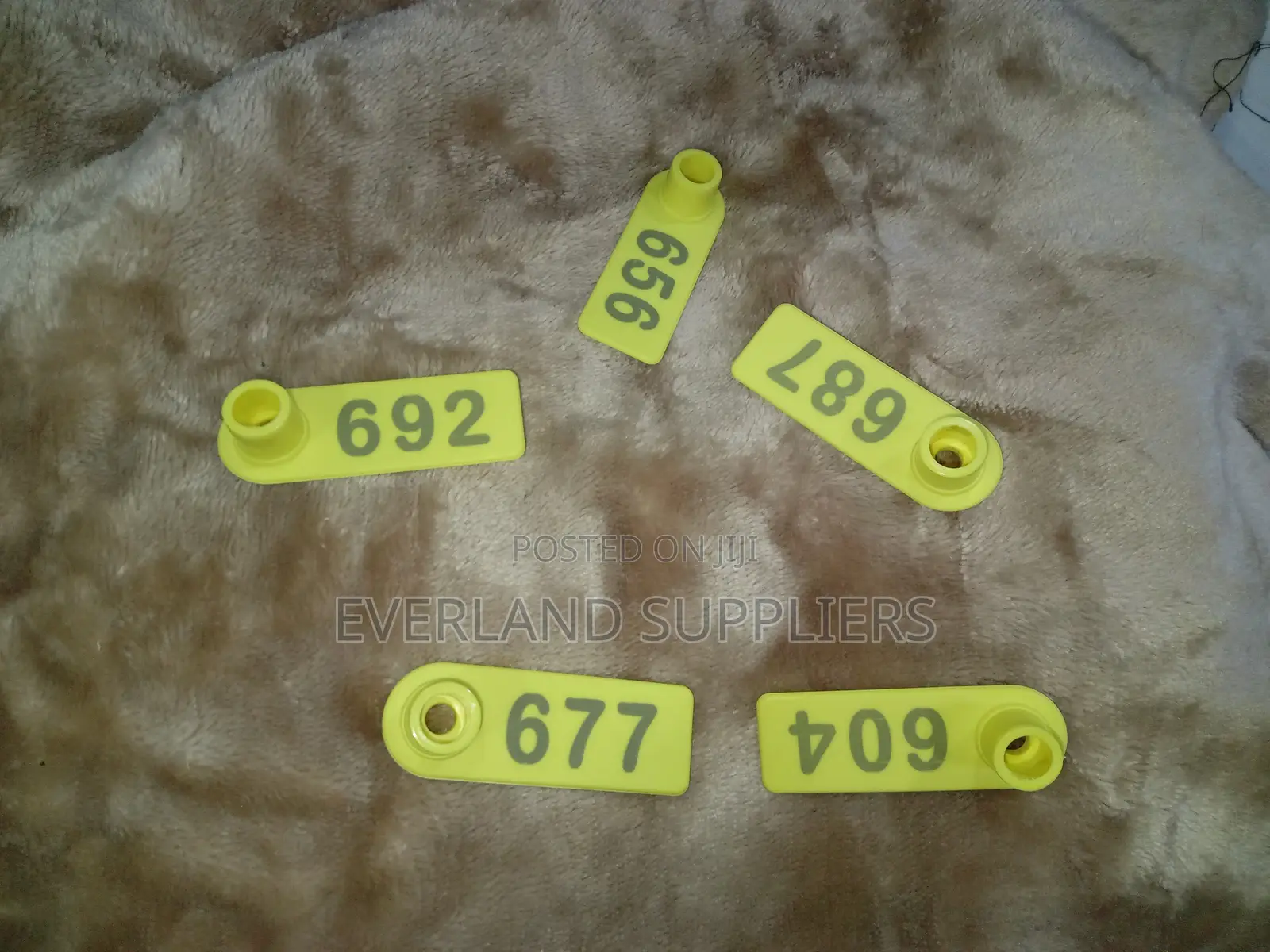 Ear Tags - Visible Animal Tagging