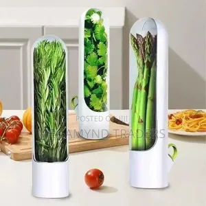 Herb and Vegetable Fresh Keeping Containers