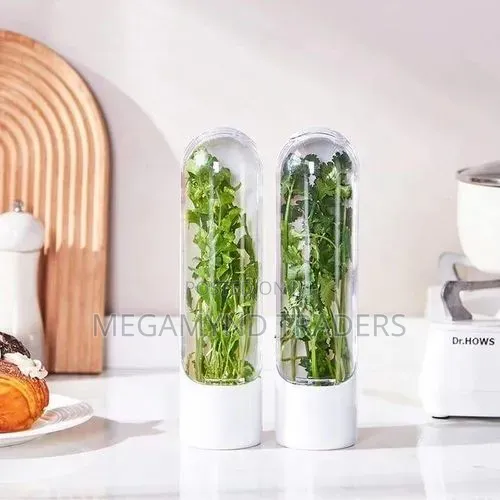 Herb and Vegetable Fresh Keeping Containers