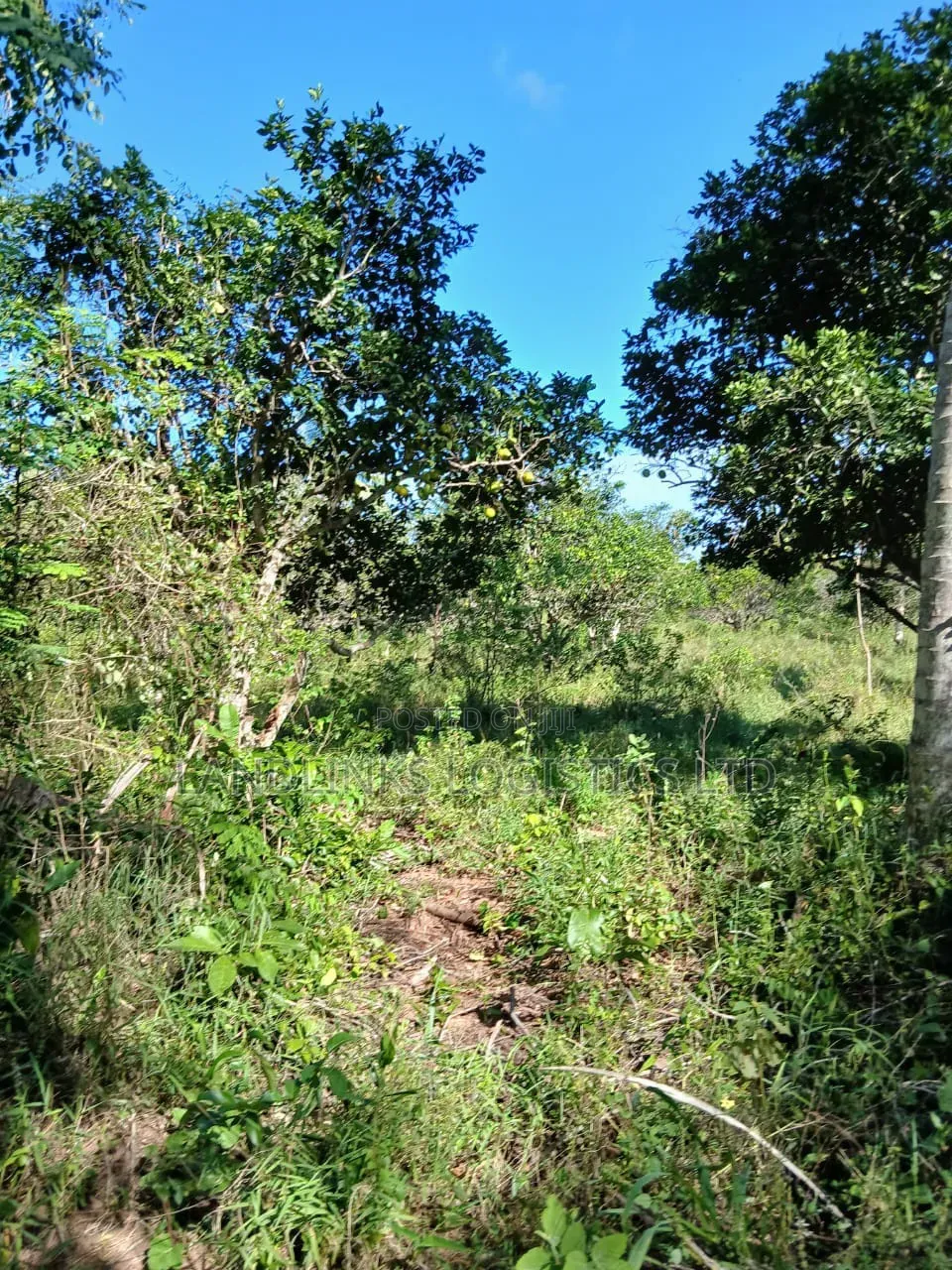 Musambweni 500 Acres KWALE COUNRY Deal for Anything