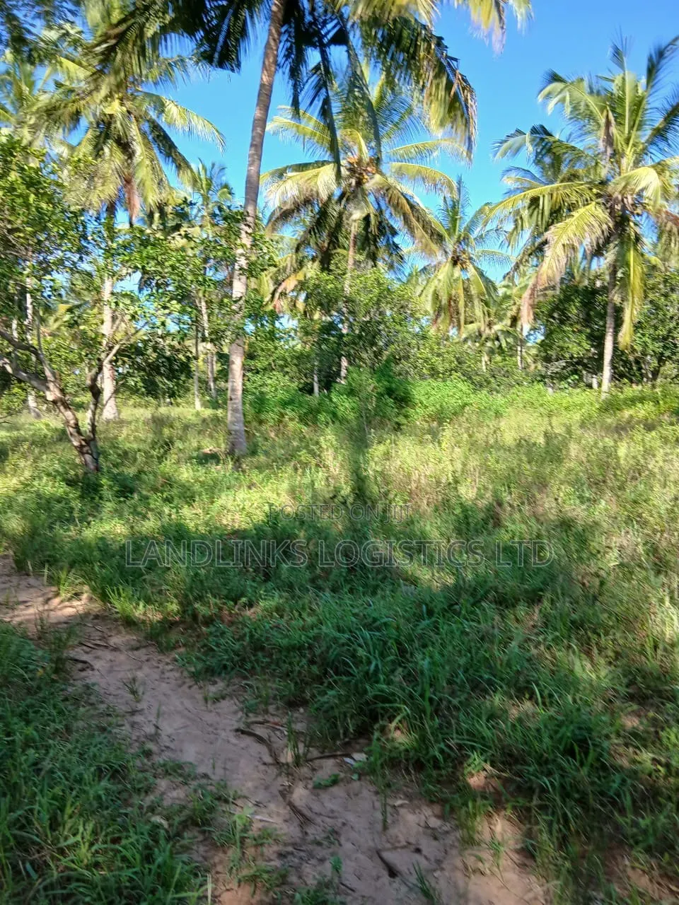 Musambweni 500 Acres KWALE COUNRY Deal for Anything
