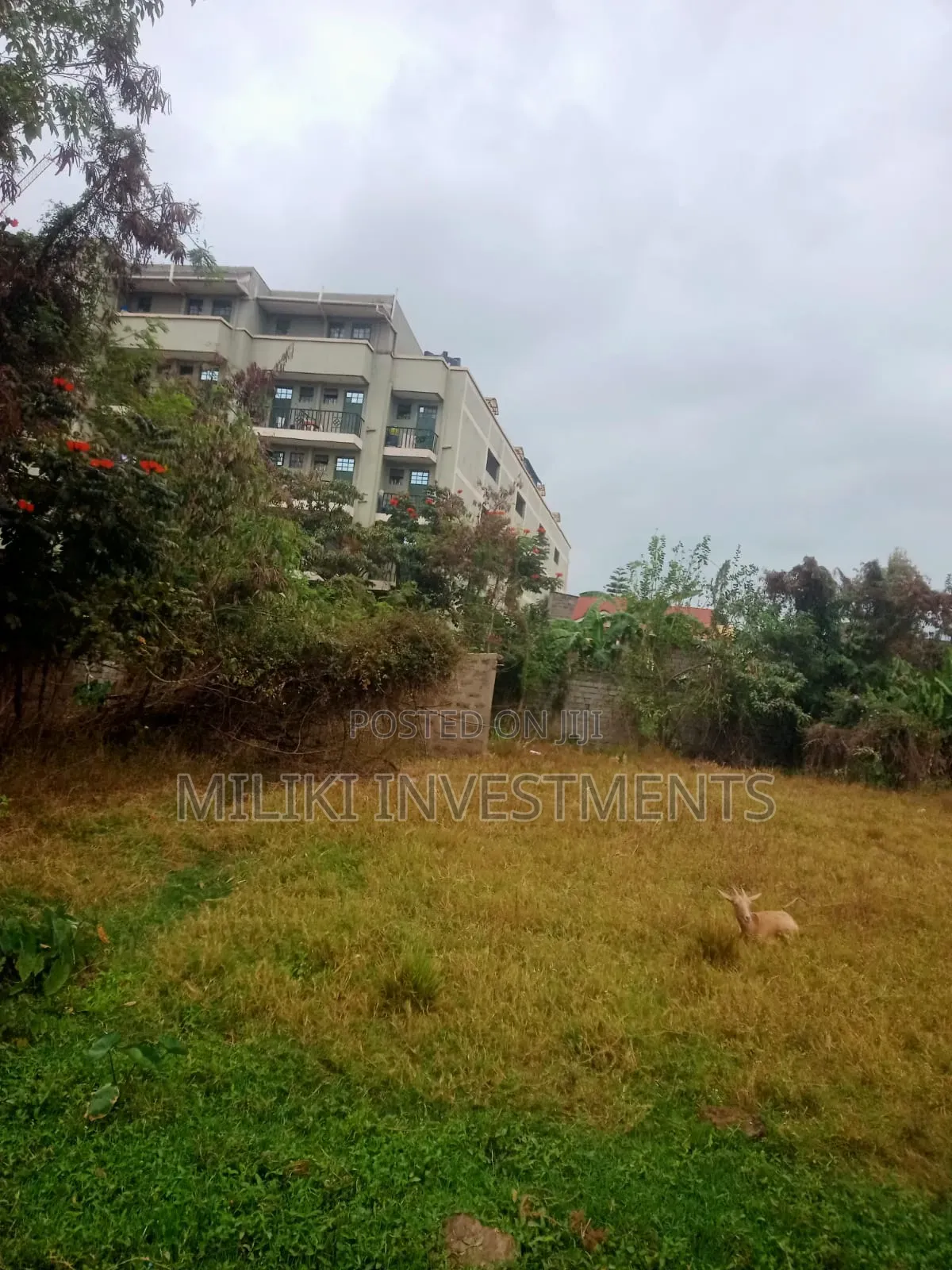 Commercial Half an Land on Sale at Juja -Near JKuat