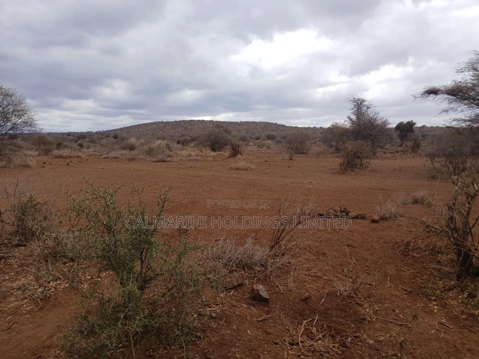 Prime Distress Deal! 58 Acres in Kimana,Amboseli NP Next to Sopa Lodge