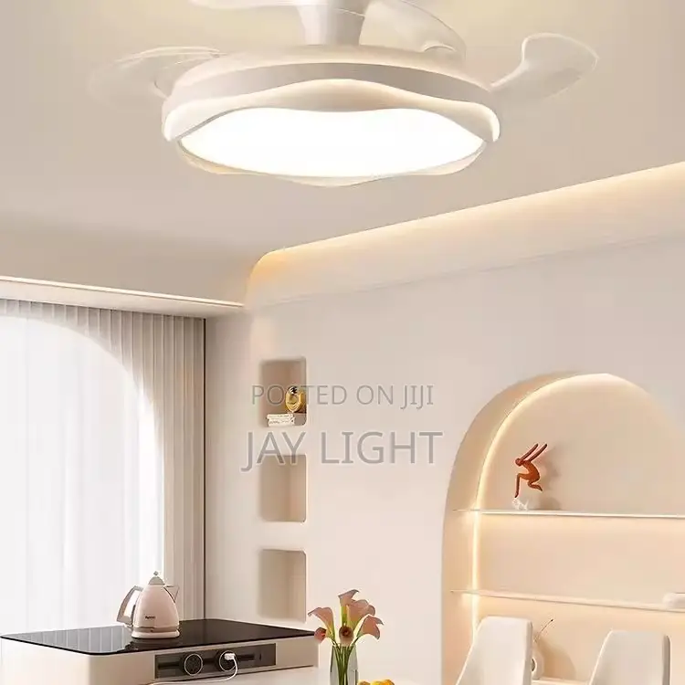 Silent Remote Control Hidden Blade Decorative Ceiling Fan Light