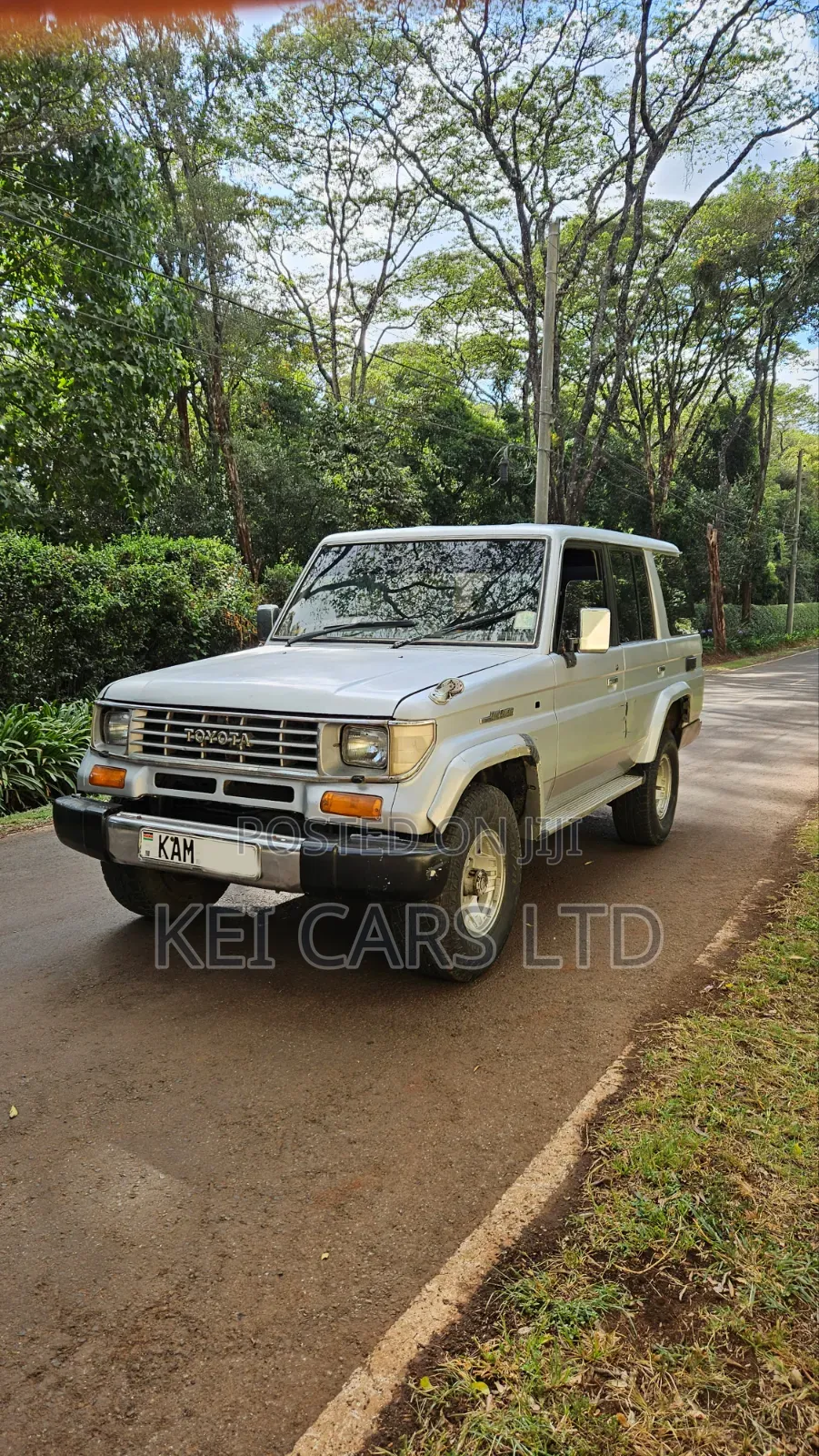 Toyota Land Cruiser 70 1993 Silver