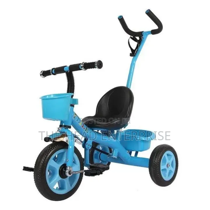 Affordable Kids Tricycle With Handle Bluish Design