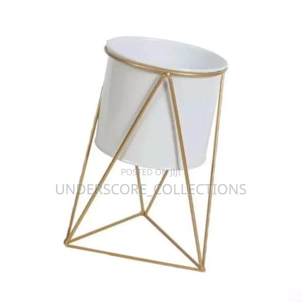 Plant Display Holder