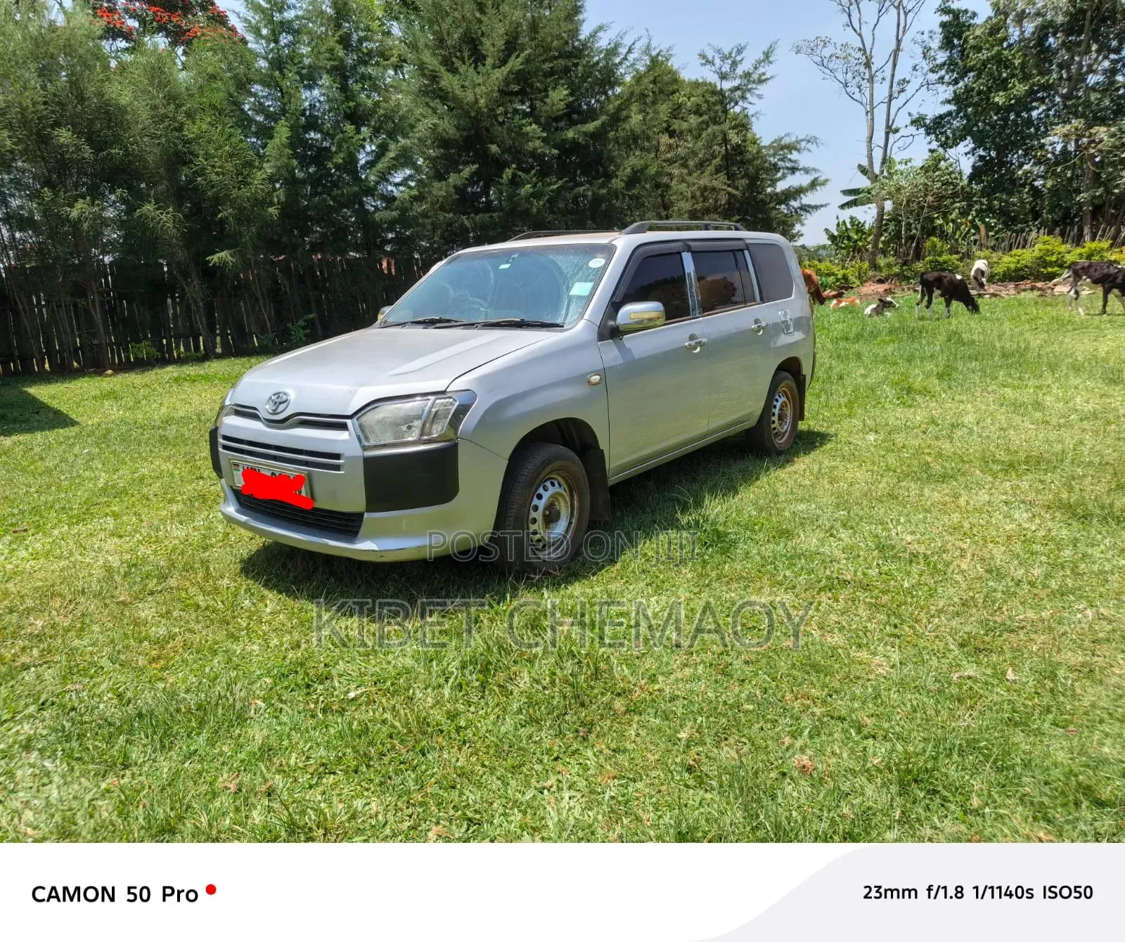 Toyota Probox 2014 Silver