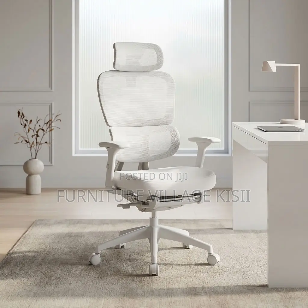 Office Orthopedic Chair With Footrest