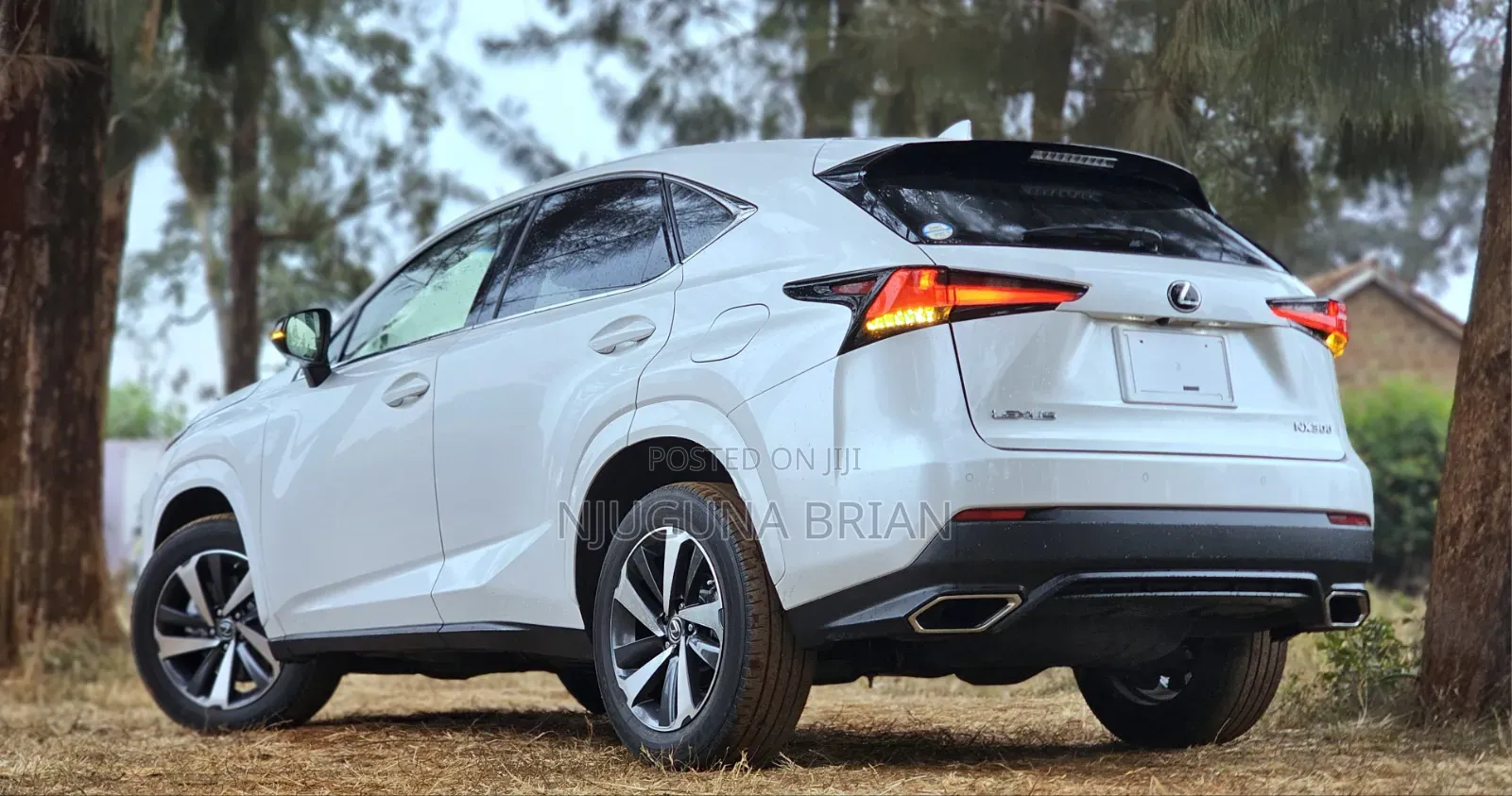 Lexus NX 300 FWD 2019 White