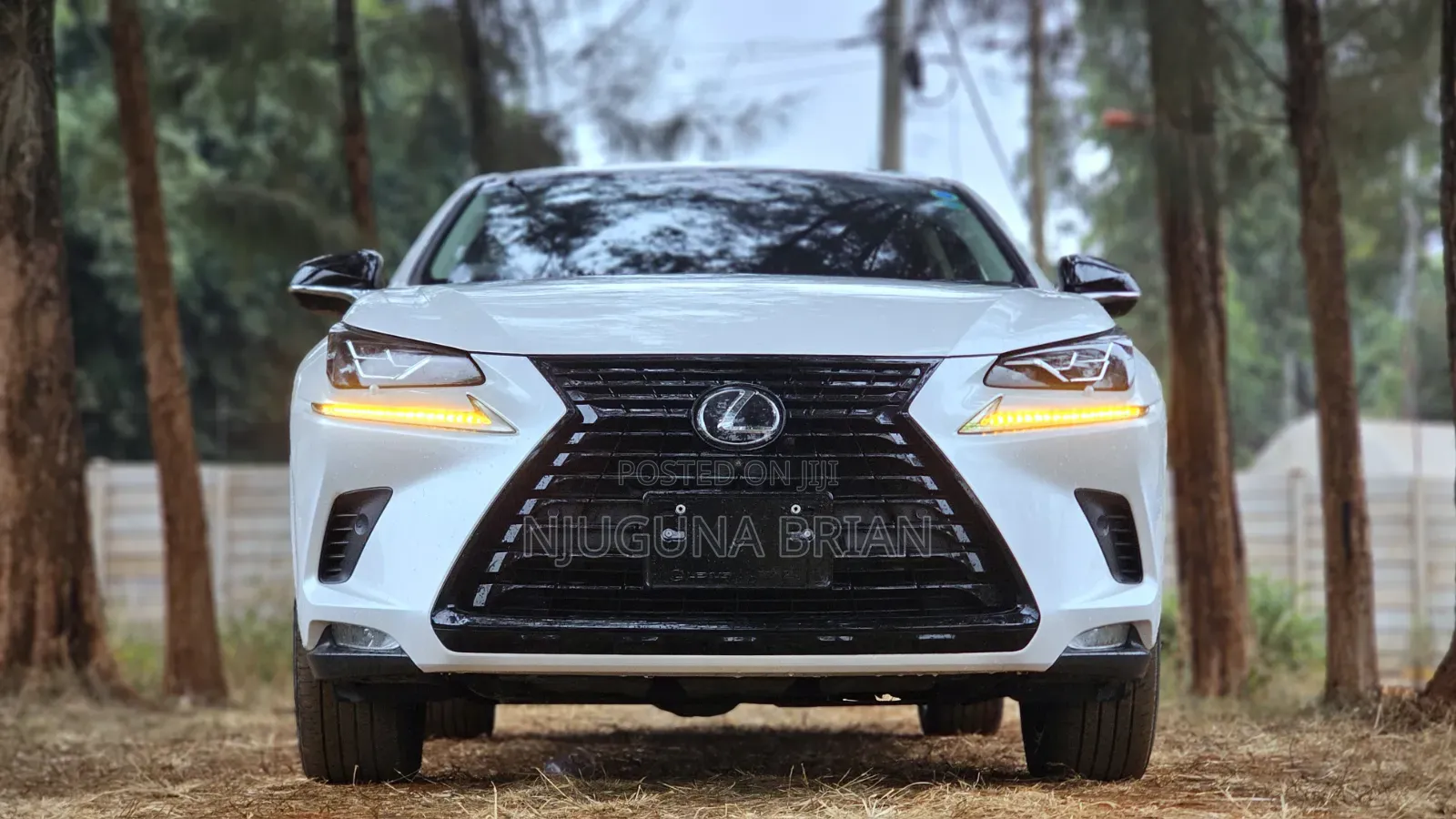 Lexus NX 300 FWD 2019 White