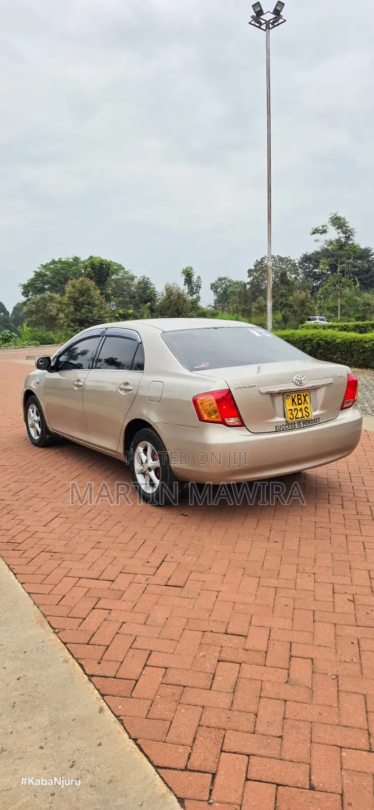 Toyota Axio 2007 Gold
