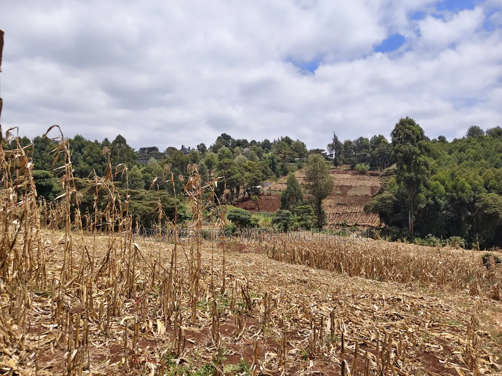 1 Acre of Land for Sale in Kahara, Ngong.