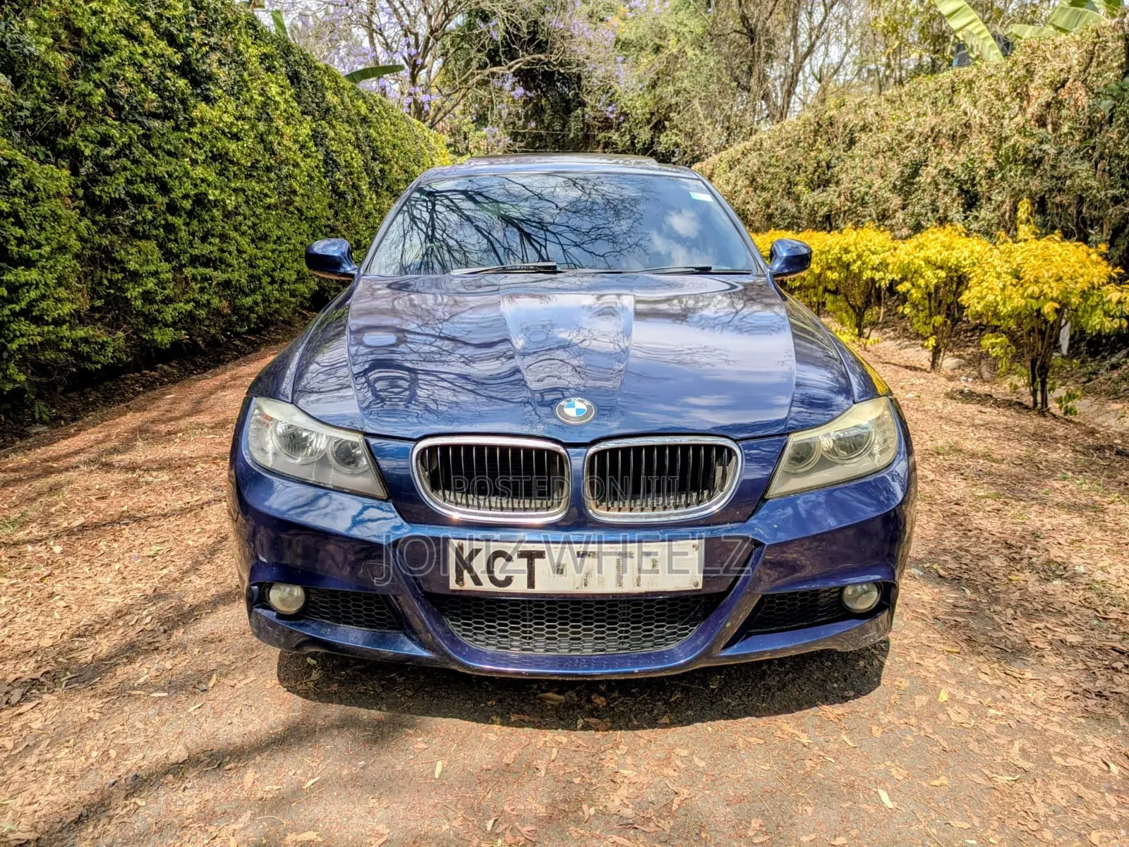 BMW 318i 2011 Blue