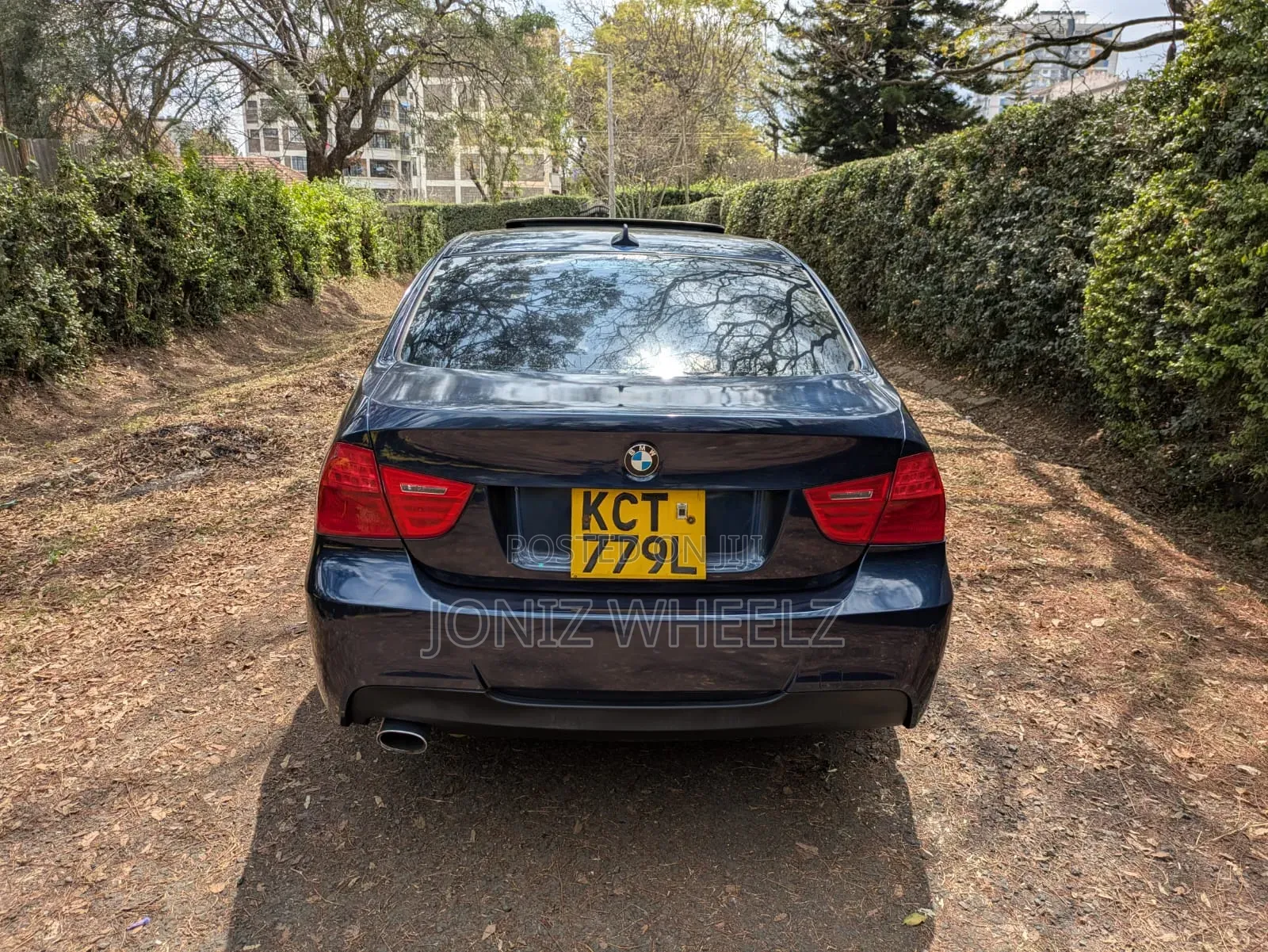 BMW 318i 2011 Blue