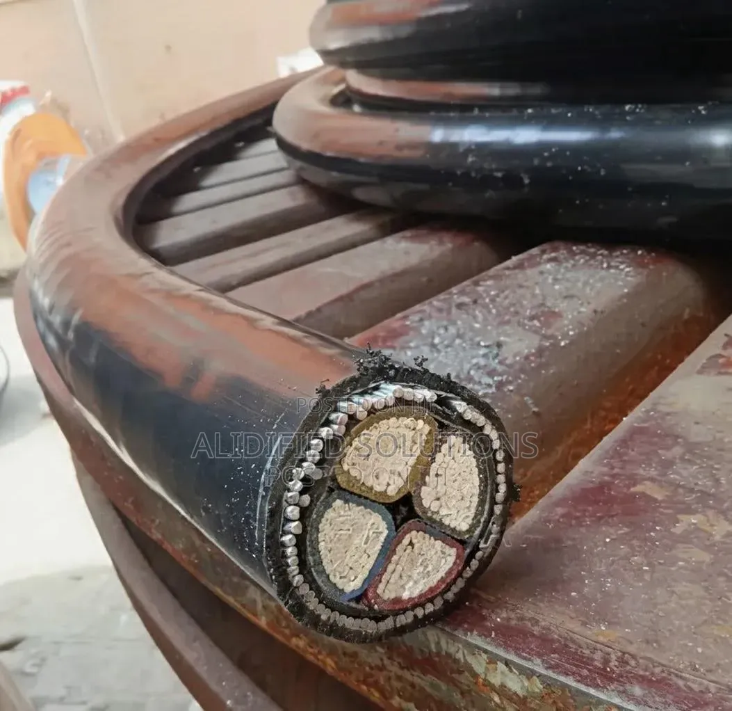 1.5twin East Africa Cable<>1.5twin With Earth