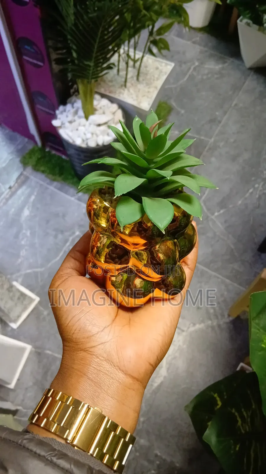 Elegant Succulent Flowers