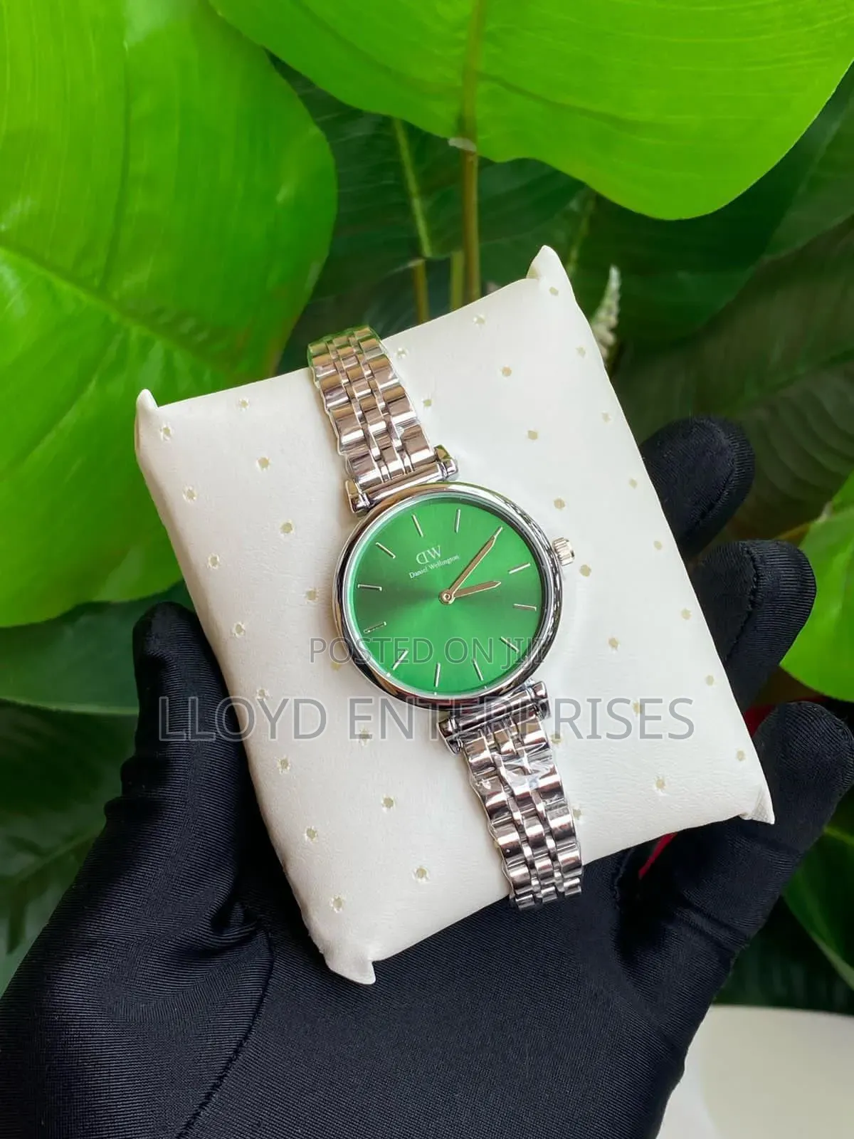 Daniel Wellington (Dw) Ladies Watch