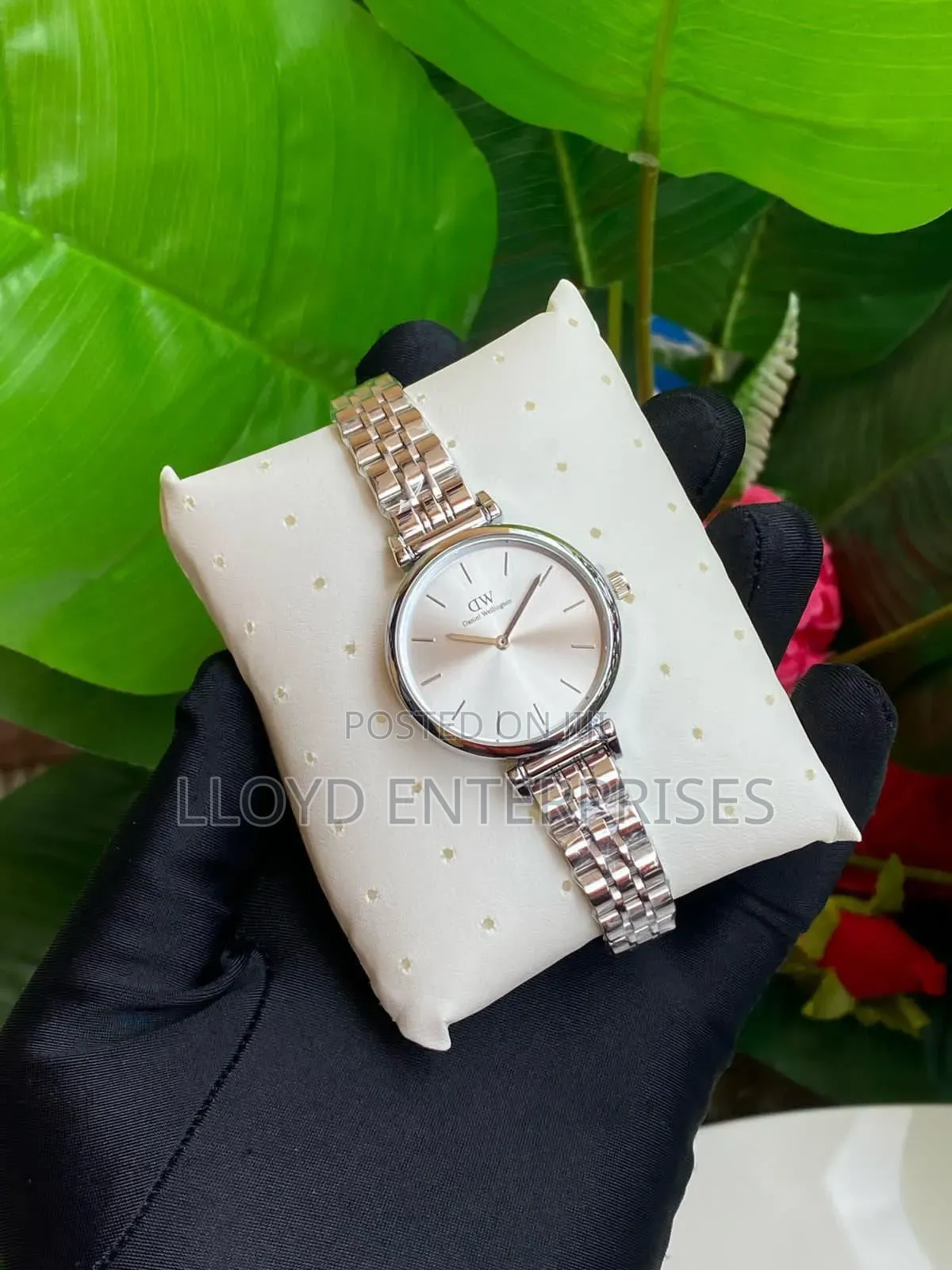 Daniel Wellington (Dw) Ladies Watch