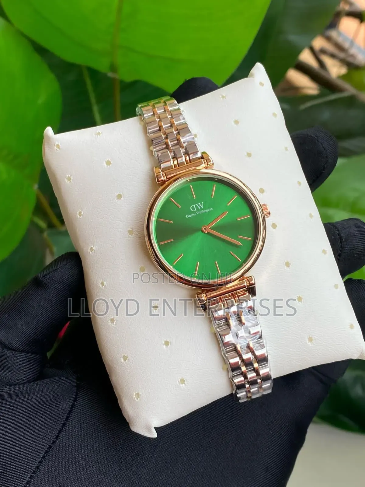 Daniel Wellington (Dw) Ladies Watch