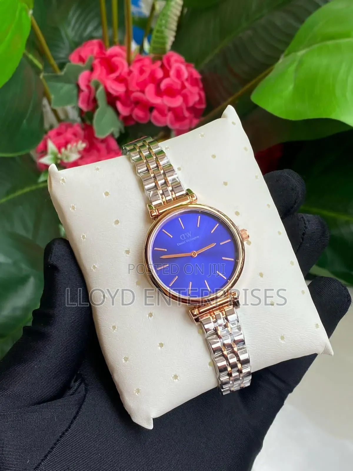 Daniel Wellington (Dw) Ladies Watch