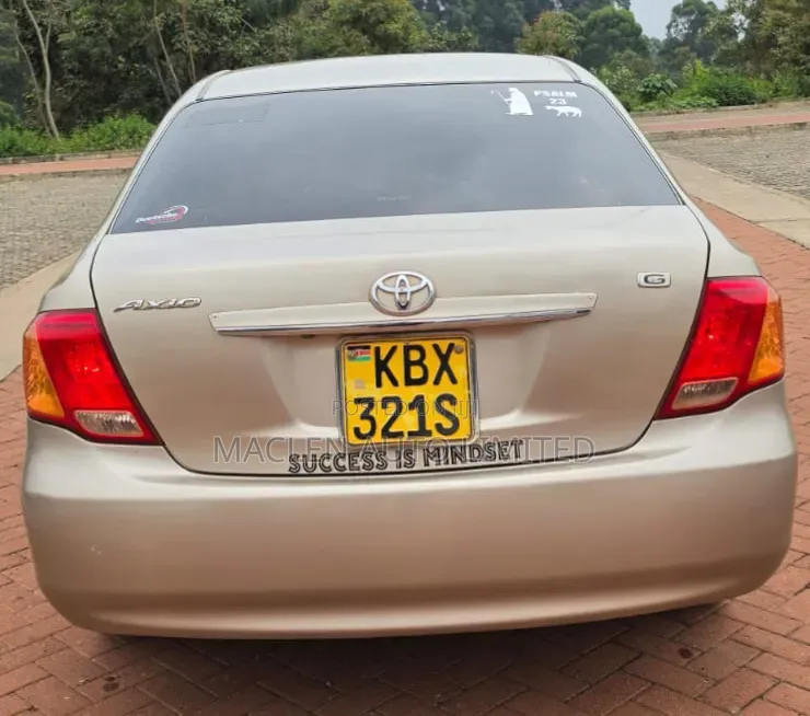 Toyota Axio 2007 Gold