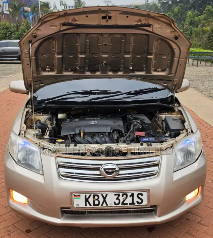Toyota Axio 2007 Gold